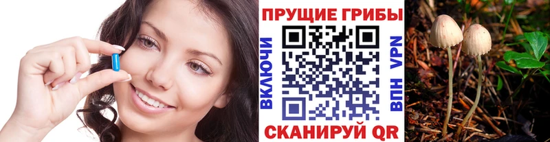 Псилоцибиновые грибы MAGIC MUSHROOMS  mega ссылка  Севск  дарнет шоп 